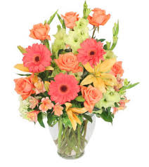 Vt selle ettevõtte 8 suhtlusvõrgustiku lehekülge, sh facebook ja google, tundi, telefon gaertner's greenhouses & flowers ei tegutse valdkondades muu ostlemine, ostlemine, lilleseadjad. Fsn Brilliance Bouquet Saginaw Mi Florist