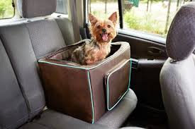 Planning A Summer Road Trip Travel Safely With The Martha Stewart Pets Booster Seat For Dogs Marthastewartpets Petsmart Pets Pet Dogs Pet Travel