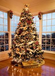 Professionally Decorated Christmas Trees How To Select A Christmas Tree Choosing A Beautiful Christmas Trees Christmas Decorations Christmas Tree Decorations