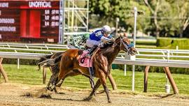 Saratoga Horse Racing