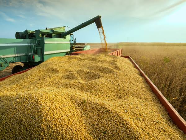 A Força do Agro Gaúcho e Catarinense: Tecnologia e Resiliência na Gestão de Safras
