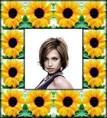 En su compra online puede elegir hacerlas en el transcurso del. Montaje Fotografico Girasoles Pixiz