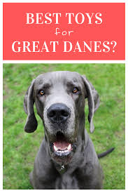 Great Dane Dog Toys In 2020 Great Dane Dogs Best Dog Food Dane Dog
