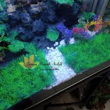 Maybe you would like to learn more about one of these? Rumput Hias Aquarium Cantik Full Green Shopee Indonesia