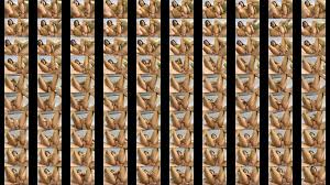 xxxxxxxxxxxxxxxxx - XNXX.COM