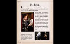 Der zauber der liebe beherrscht das sechste schuljahr von harry und seinen besten freunden hermine und ron. Harry Potter Die Welt Der Magischen Wesen Die Welt Der Magischen Wesen Kreaturen Und Pflanzen Der Harry Potter Filme Amazon Co Uk Revenson Jody 9783833229602 Books