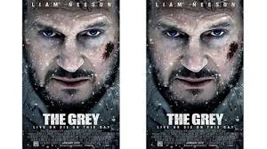 Berikut sinopsis dari film yang diarahkan sutradara joko anwar dan dibintangi abimana aryasatya itu. Sinopsis The Grey Film Aksi Petualangan Tayang Di Trans Tv 19 Jan Tirto Id