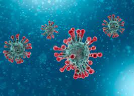 Malcolm x college vaccine ambassador program aims to curb hesitancy, debunk myths. Covid 19 Tracker Regeneron S Antibody Cocktail Hit By Safety Concerns Novo S Rybelsus Emerging From Pandemic Slump Fiercepharma