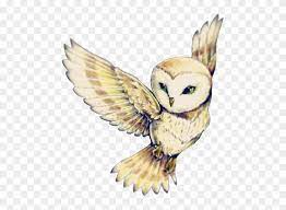 Check spelling or type a new query. Cute Owl Flying Owl Tattoo Designs Clipart 3504453 Pikpng