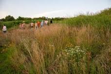 Summer Solstice Walks