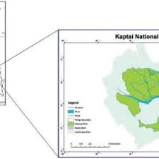 Image result for Pseudoeriosema borianii