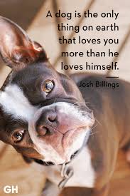 Emotional support dog soulmate dog love quotes. 30 Dog Quotes That Every Animal Lover Will Relate To Best Dog Quotes