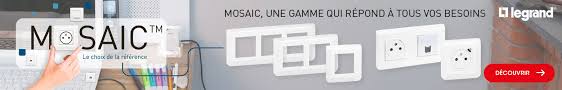 Faire dorer un aliment sens : Interrupteur Prise Electrique Multiprise Brico Depot