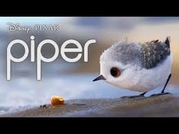 Image result for Piper