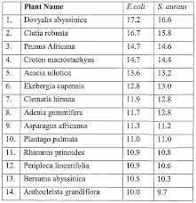 Image result for Clutia hirsuta