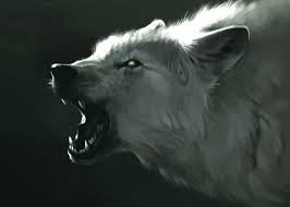 Pngkit selects 74 hd white wolf png images for free download. White Wolf Moonlight Wolf Art Wolf Painting Wolf Drawing