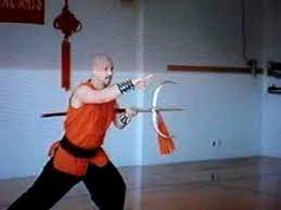 Pin On Hung Gar
