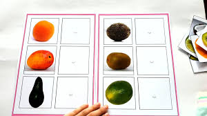 Fruit Inside And Out Matching Activity For Special Education Video Toddler Speech Activities Montessori Activities Math Activities Preschool
