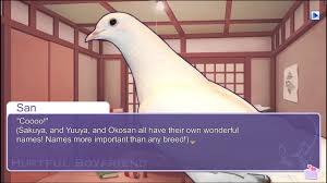 Doves, Dating, and Deconstruction: Hatoful Boyfriend as Critique of Romance  Games | Girl from the Machine