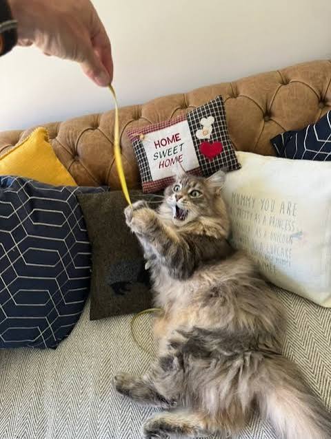 Enrichment