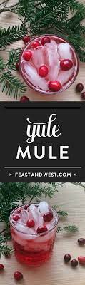 Yule Mule A Christmas Moscow Mule Recipe Festive Holiday Moscow Mule Feast West Recipe Holiday Drinks Yummy Drinks Food