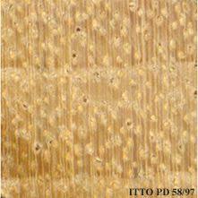 Image result for Lannea welwitschii