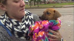 Meet 3 of the heroes who rescued puppies from sewer drain
