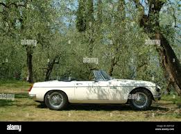 Image result for Sunberry White 1962 MG