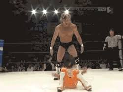 Wrestling ring ropes in the wwe have a latch on the end. Match Of The Week Kenny Omega Vs 9 Year Old Girl At Ddt Wrestling