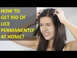 How To Get Rid Of Lice Permanently At Home Lice Eggs Head Louse Remove Lice Eggs