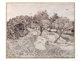 The Olive Trees Giclee Print Vincent Van Gogh Art Com Van Gogh Drawings Van Gogh Olive Trees Van Gogh Landscapes