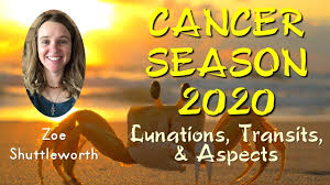 This article provides an update on the global cancer burden using the globocan 2020 estimates of cancer incidence and mortality produced by the international agency for research on cancer. Zoe Shuttleworth Cancer Season 2020 Youtube