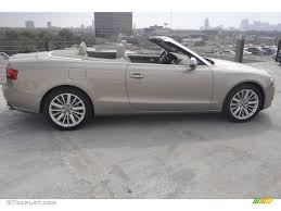 Image result for Aurum Beige 2011 A5