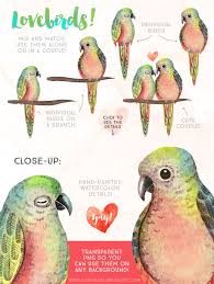 Watercolor Love Birds Vibrant Pack Love Birds Drawing Love Birds Colorful Art Projects