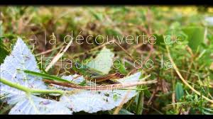 Le col est situé à une altitude de 787 mètres et se situe sur la route départementale 104 entre aubenas et privas, dans le département de l'ardèche. Col De L Escrinet Col Cycliste Et Site D Interet Ornithologique En Ardeche