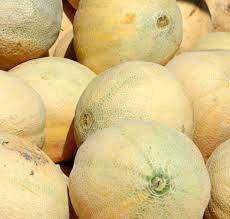 If you pick it at this point, you will need to let it ripen in your house until it golden. How To Determine A Ripe Melon Vegetables