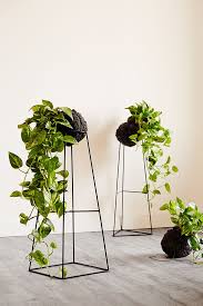 Ivy Muse New Nightshade Collection The Design Chaser Giardino Verticale Giardini Pensili Vasi Da Fiori