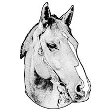 / kleuterschool knutselen voor kinderen padvinderij folklore gabriel peuters kunst kinderen elementaire kunst. Paardenkop Knutselen Sinterklaas Surprise Maken Het Paard Van Sinterklaas Knutselen Met Papier Karton Hout Metaal Vilt Kurk Lijm Tekenen Verven Darcybarbosa