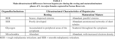 We did not find results for: Scielo Brasil Ultrastructural Changes In Female Hepatocytes During Ovarian Maturation Of Steindachnerina Insculpta Pisces Curimatidae Ultrastructural Changes In Female Hepatocytes During Ovarian Maturation Of Steindachnerina Insculpta Pisces