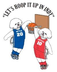 BICHON FRISE CLUB OF AMERICA, INC. WINTER BULLETIN 2010