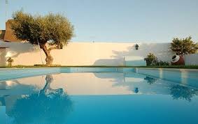 Tanaman Hias Kolam Renang Paling Cocok Dan Paling Banyak Dinikmati Kolam Renang Kolam Hiasan