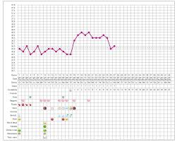 Come Compilare I Dati E I Sintomi Del Grafico Della Temperatura Basale