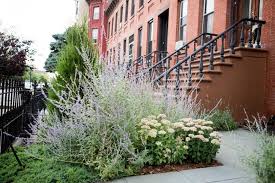 Garden Designer Visit A Low Maintenance Brooklyn Backyard By New Eco Landscapes Gardenista Low Maintenance Landscaping Front Yard Brooklyn Backyard Front House Landscaping