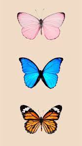 We did not find results for: Best Butterfly Iphone Hd Wallpapers Ilikewallpaper