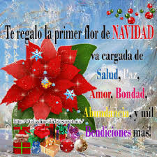 Https Encrypted Tbn0 Gstatic Com Images Q Tbn And9gcr6eykwyfnpqruiaaoknccckdtkemvkc15oog Usqp Cau