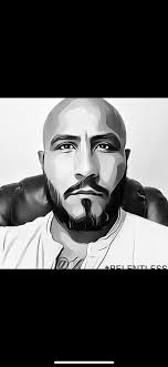 Spirit Airlines IT Network Management Issue with Raccoon