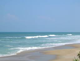 The 18 Best Us Beaches Where You Can Drink Legally Best Us Beaches Playalinda Beach Florida Beaches