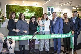 Will acquire three arrow alternative care. Curaleaf Acquires 3 Arrow Alternative Care Dispensaries The Green Fund