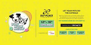 5 questions you must ask first. Pet Carnival At Dlf Place Bow Wow Meow Events In Delhi Ncr Mallsmarket Com