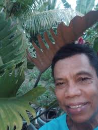 My purple philodendron. Plants have the power to heal us if we align  ourselves with their positive energizing frequency.